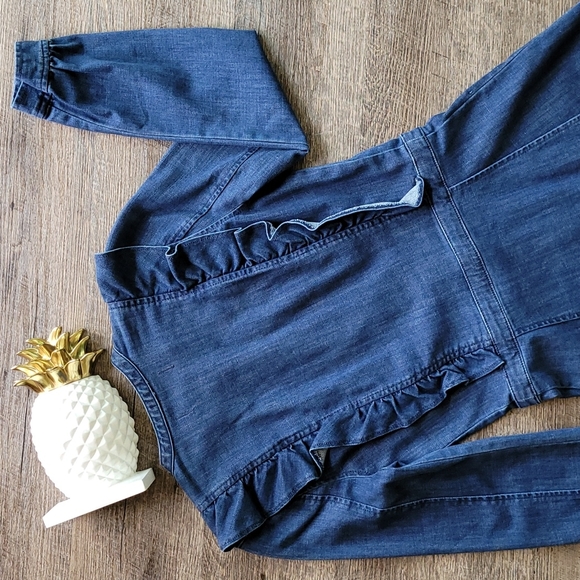 NWT! Madewell Denim Ruffle-Front Style Dress - Picture 8 of 12